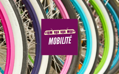 Programme mobilité: Limiter le trafic motorisé!